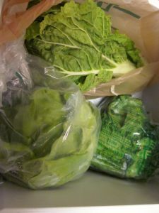 Nappa Cabbage, Bibb Lettuce, & Mustard Greens